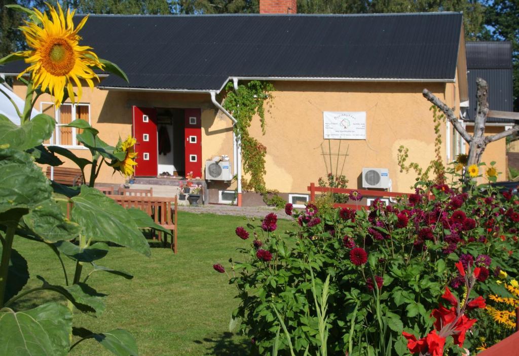 Rumma Bed & Breakfast Bjoerkhyddan المظهر الخارجي الصورة